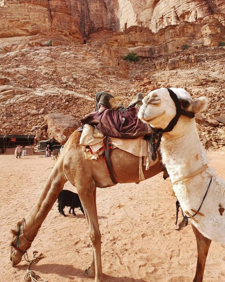 Bedouin Memories Camp Bed & Breakfast Wadi Rum Luaran gambar