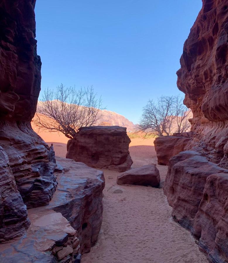 Bedouin Memories Camp Bed & Breakfast Wadi Rum Luaran gambar